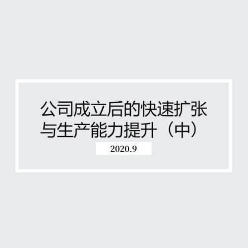 公司成立后的快速扩张与生产能力提升(中)