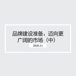 品牌建设准备，迈向更广阔的市场（中）